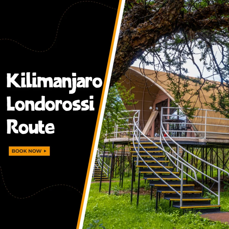 tour Kilimanjaro Londorossi Route