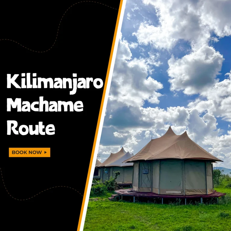 tour Kilimanjaro Machame Route