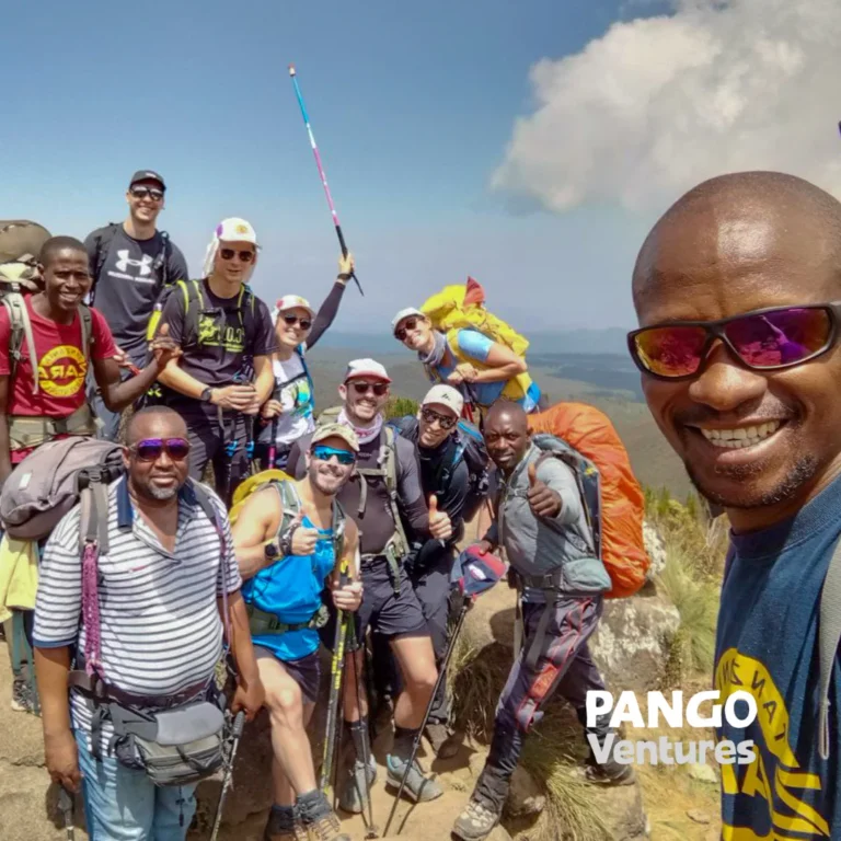 About Pango Ventures