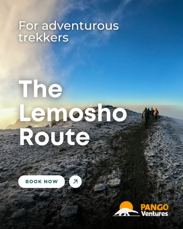 the lemosho route trekking usa africa