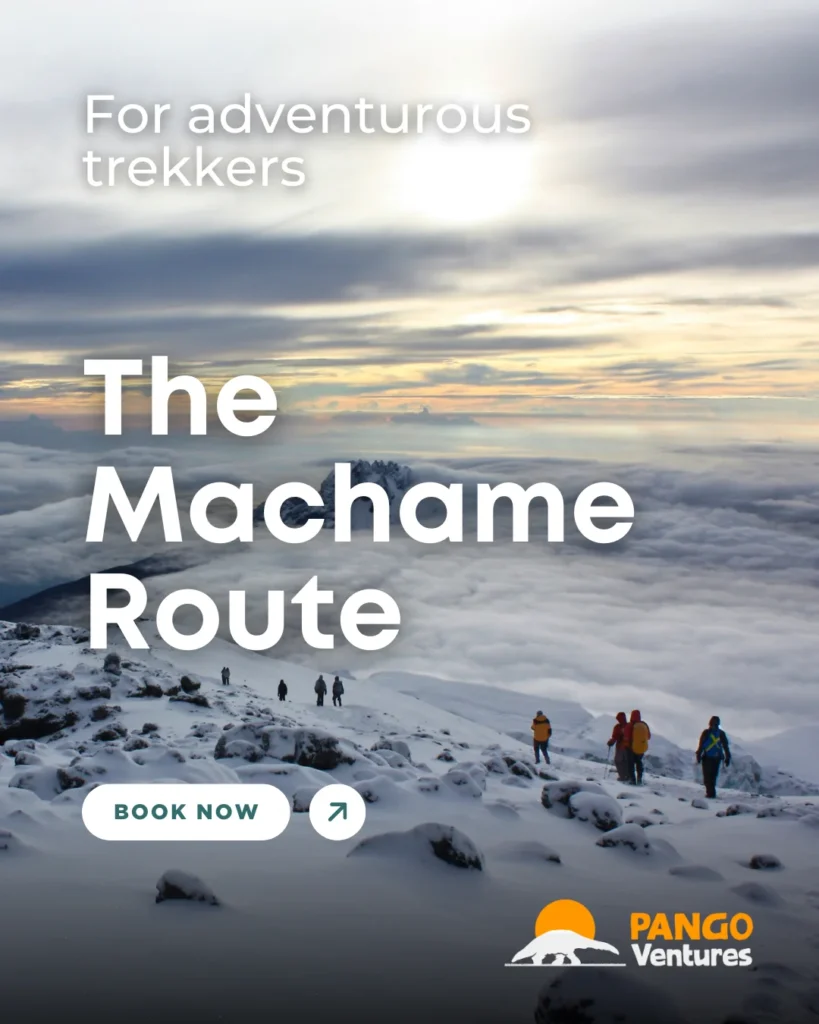 the machame route trekking usa africa