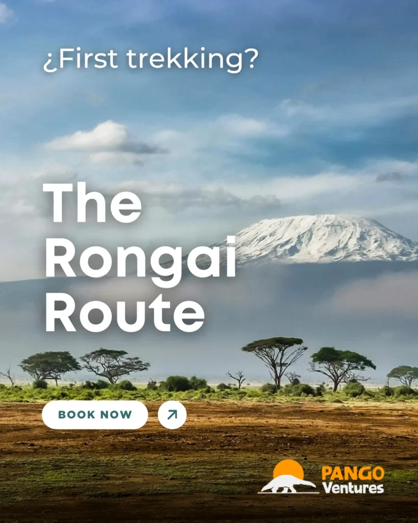 the rongai route trekking usa africa