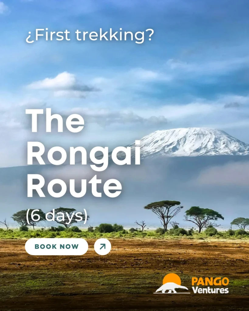 6-day Rongai Route, a scenic and less crowded path to Kilimanjaro’s summit that offers a unique perspective