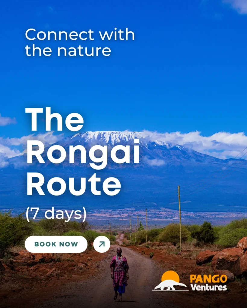 The Rongai Route is perfect for those looking to experience Kilimanjaro’s quieter side while enjoying stunning landscapes 7 days