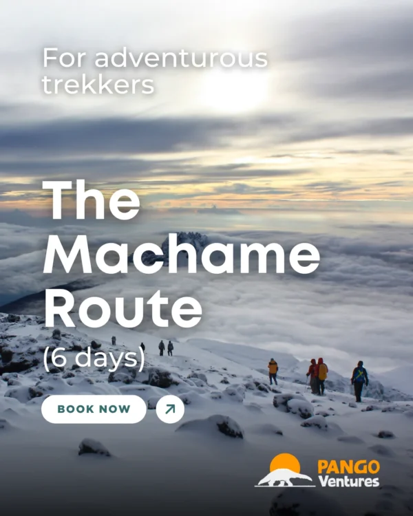 The Machame Route