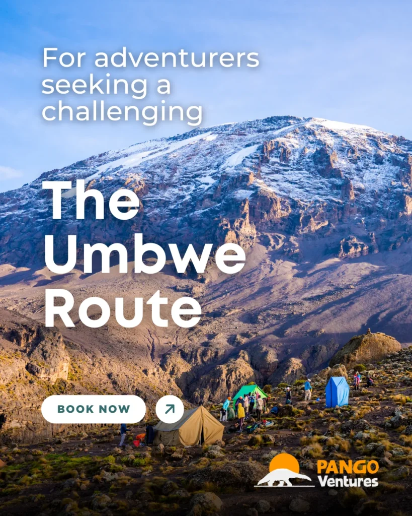 The 6-day Umbwe Route is one of Kilimanjaro’s steepest and most thrilling climbs